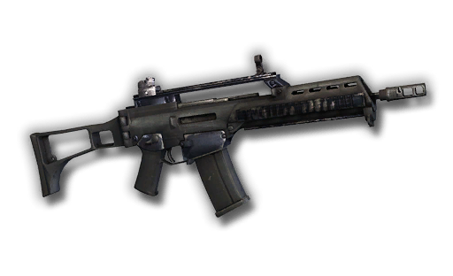 G36