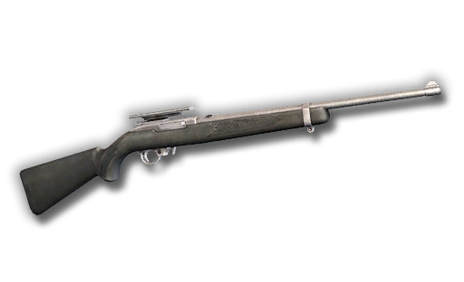 Kruger .22 Rifle