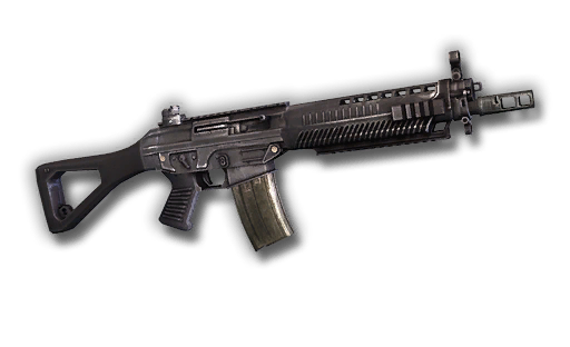 SIG SAUER 556