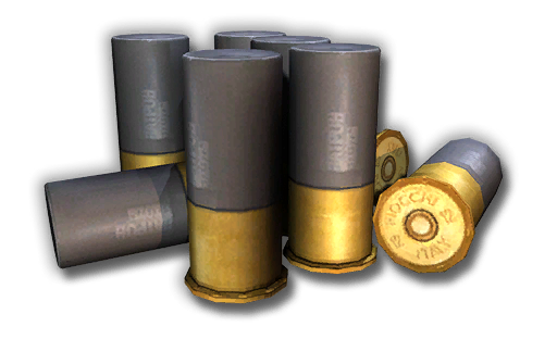 12 Gauge Slug