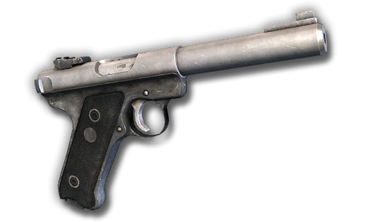 Ruger