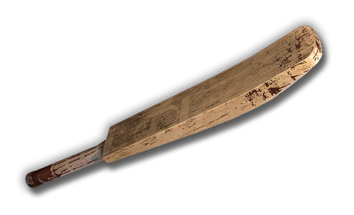 Cricket bat